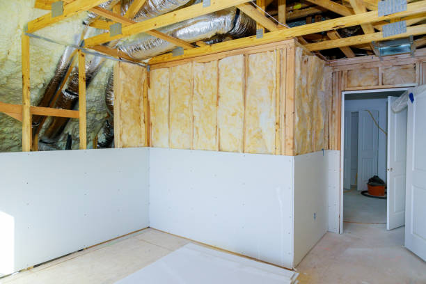 Best Geographic-Specific Insulation Services in Braidwood, IL