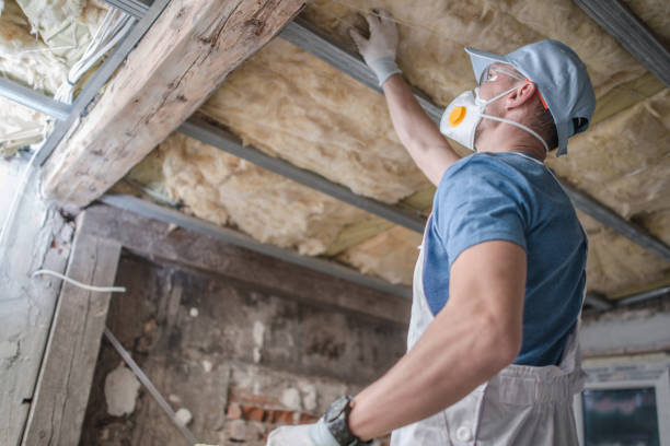 Trusted Braidwood, IL Insulation Contractor Experts