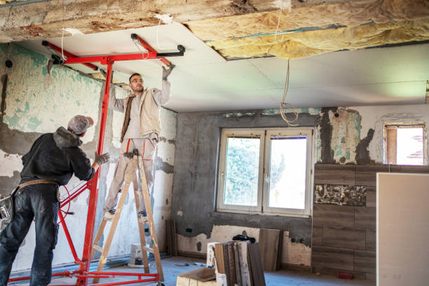 Best Spray Foam Insulation in Braidwood, IL