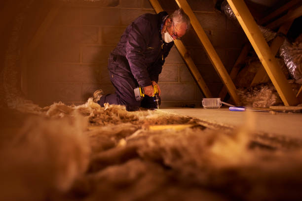 Best Energy Efficiency Insulation in Braidwood, IL
